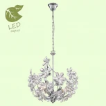 Подвесная люстра Lussole Lgo Phoenix GRLSP-0184 (220V, на цепи, цветы, IP21)