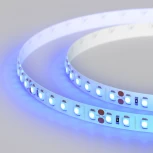 Светодиодная лента RT 2-5000 24V Blue 2x (3528, 600 LED, LUX) (Arlight, 9.6 Вт/м, IP20) 008783(1)