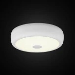 Настенно-потолочный светильник Citilux Фостер-3 CL706310