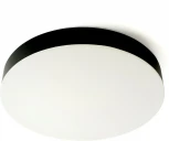 Светильник накладной со светодиодами Feron ONE AL1600 48884 36W, 2880Lm, 3000К-4000К-6400K (220V, круглые, IP44)