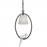 Подвесной светильник Favourite Birds 1594-1P