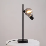 Настольная лампа Freya Evidence FR5372TL-01B (220V, выключатель)