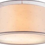 Подвесной светильник Globo Theo 15190H1