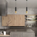 Подвесной светильник Eurosvet Tony DLN108 GU10 черный/золото (220V, на проводе, круглые)