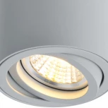 Накладной точечный светильник Arte Lamp Sentry A1560PL-1GY