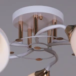 Потолочная люстра на штанге Reluce 06104-0.3-05 WH+FG