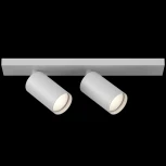 Спот Maytoni FOCUS S C051CL-2W