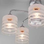 Потолочная люстра Eurosvet Essence 30176/5 хром