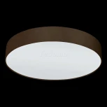 Настенно-потолочный светильник Eglo Pasteri 97612