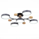 Потолочная люстра на штанге Evoluce Faema SLE6006-702-05