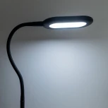 Торшер Леон CL804041 Citilux