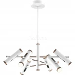 Подвесная люстра Favourite Duplex 2325-12P