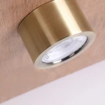 Накладной точечный светильник Favourite Deorsum 2806-1U