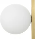 Настенно-потолочный светильник Citilux Glob CL209433 (220V, шар)