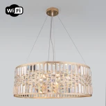 Подвесная люстра Wi-Fi Eurosvet Lory 10125/8 золото/прозрачный хрусталь Strotskis Smart (10116/8) (220V, управление смартфоном, голосовое управление, умный дом - Minimir Home, на тросе, круглые)