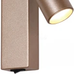 Спот Favourite Specimen 2228-1W