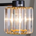 Потолочная люстра на штанге ILLUMICO IL1305-5CPA-29 BK GD