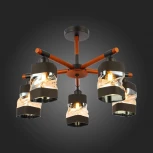 Потолочная люстра Evoluce Abiritto SLE114402-05