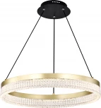 Подвесной светильник светодиодный Lightstar Rotonda 736181 (220V, на тросе, кольцо)