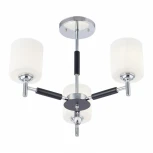 Потолочная люстра на штанге Arte Milano Napoli-2220 332220/3 CR