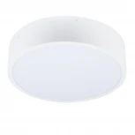 Потолочный светодиодный светильник Uniel ULO ULO-K40A 30W/4000К/R40 IP40 WHITE