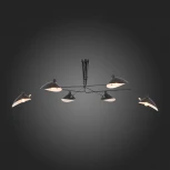 Потолочная люстра ST Luce Spruzzo SL305.402.06 (220V)