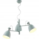 Подвесная люстра Lumion Kizzy 3735/3