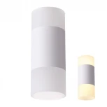 Накладной точечный светильник Novotech Elina 358318