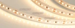 Светодиодная лента Arlight IC2-20000 024592