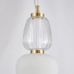 Подвесной светильник Favourite Bella 4057-2P (LED, 220V, на тросе)