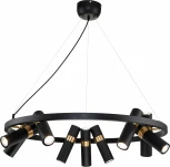 Подвесная люстра Favourite Light point 2997-9P (220V, на тросе, круглые)