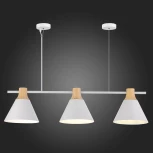 Подвесной светильник Evoluce Modica SLE125103-03