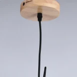 Подвесной светильник ILLUMICO IL1011-1P-05 BK (220V, на проводе)