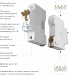 Автоматический выключатель 1P 6 A C 4,5 kА Werkel W901P064 (a062486)