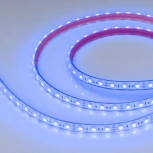 Светодиодная лента герметичная RTW-PFS-B60-13mm 12V Blue (14.4 W/m, IP68, 5060, 5m) (Arlight, 14.4 Вт/м, IP68) 036280