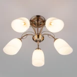 Потолочная люстра Eurosvet Stefanie 30107/5 античная бронза (220V)