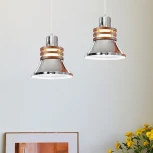 Подвесной светильник Lightera Guaviare LE105L-17C (220V, на проводе)