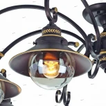 Потолочная люстра Arte Lamp Grazioso A4577PL-8CK