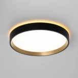 Настенно-потолочный светильник с подсветкой Черный+Золото Citilux Etalon CL750241 (LED, 220V, круглые, IP40)