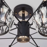 Потолочная люстра Eurosvet Lord 70075/8 черный (220V)