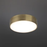 Потолочный светильник круглый Aployt Evon APL.0114.29.18 (LED, 220V, круглые)