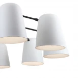 Подвесная люстра F-Promo Trick 2762-10P (220V, на тросе)