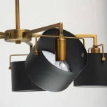 Потолочная люстра MW-Light Сайрус 721010205