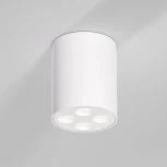 Светильник потолочный светодиодный Elektrostandard Points 25111/LED белый (220V, круглые)