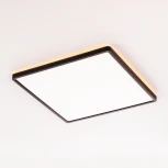 Настенно-потолочный светильник светодиодный с подсветкой Citilux Norma CL748K401 (220V, IP40)