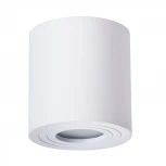 Потолочный светильник уличный Arte Lamp Galopin A1460PL-1WH (220V, круглые, IP44)