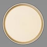 Потолочный светильник RGB круглый светодиодный с пультом Citilux Boss CL751251G (220V, круглые)