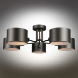 Потолочная люстра Omnilux Liser OML-54507-05 (220V)