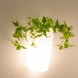 Настенный светильник уличный Mantra Teja 6508 (220V, IP54)