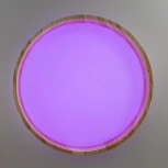 Потолочный светильник RGB круглый светодиодный с пультом Citilux Enzo CL753352G (220V, круглые)